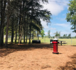 Off leash Dog Park