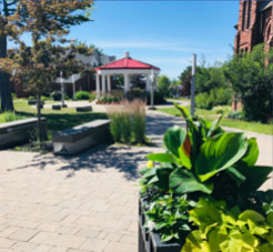 Victoria Square in downtown Amherst