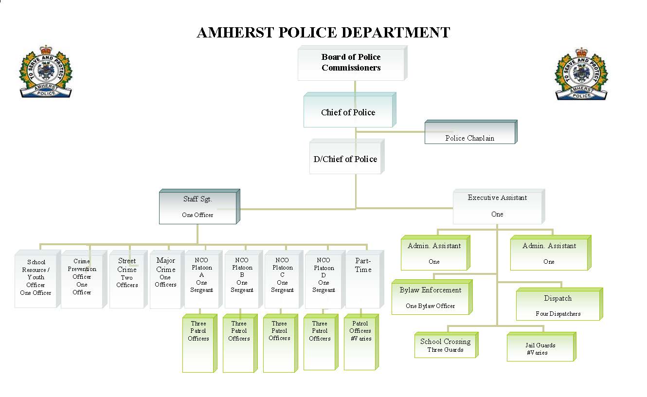Amherst Police Department Organizational Chart