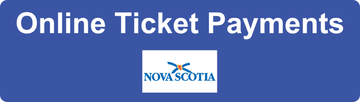 Online Ticket Payment SMALL 08 05 24